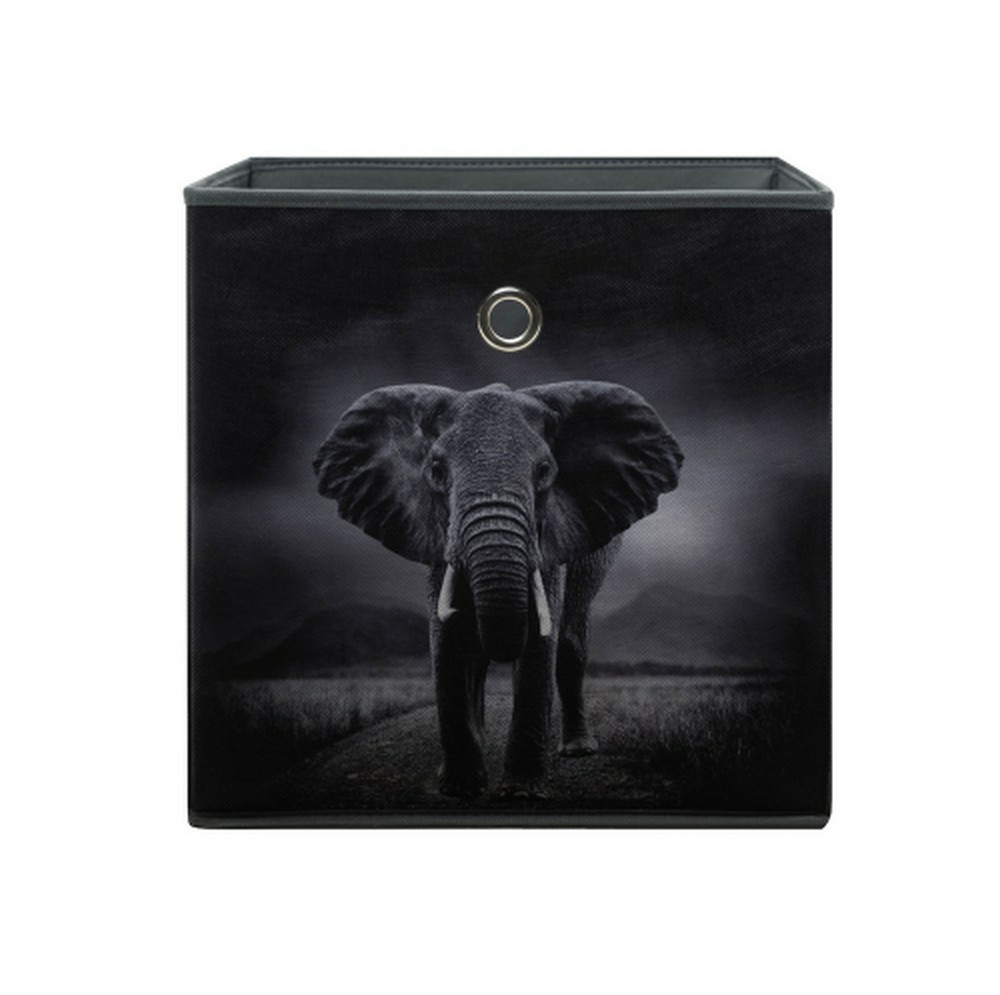 Motivbox Wildlife